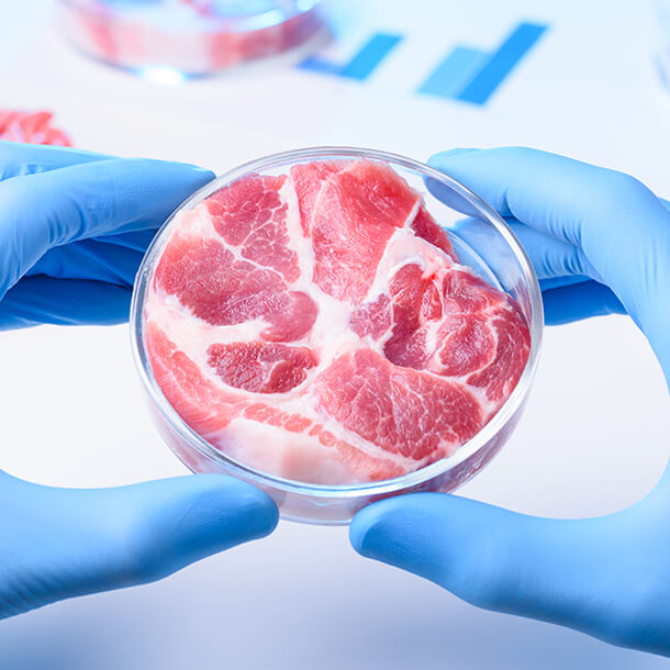 La qualité de la viande compte — et nous la mesurons avec précision